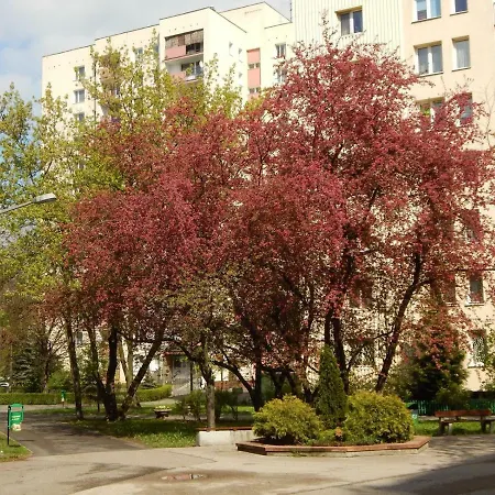 Apartament Apartament Luxury Business Saska Kępa *